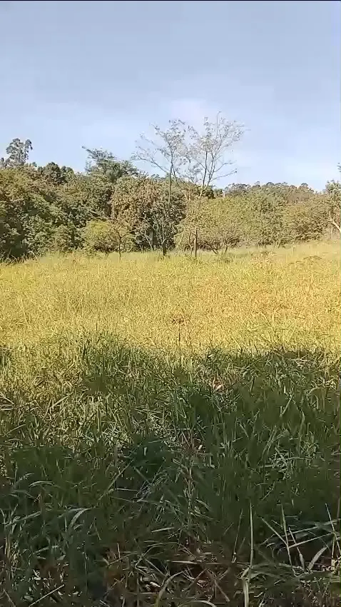Small farm for sale of 60 acres in Iaras, SP, Brazil