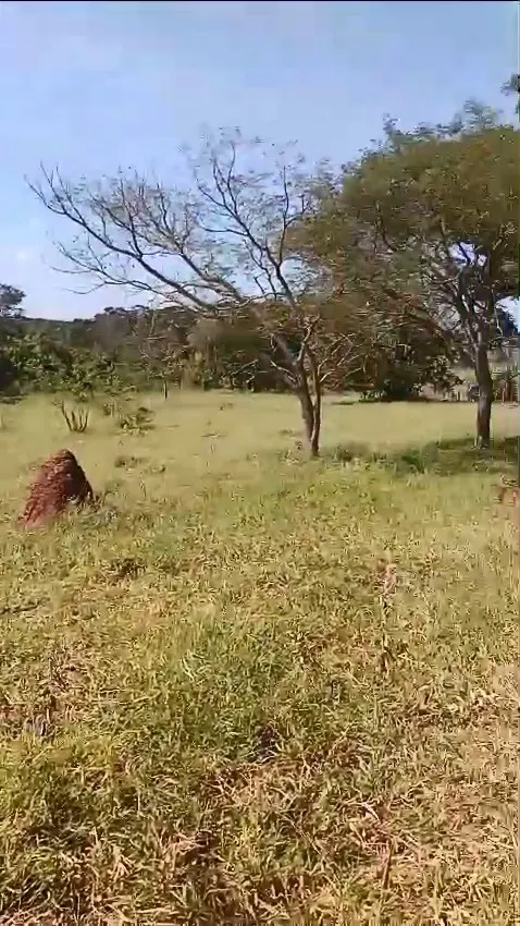 Small farm for sale of 60 acres in Iaras, SP, Brazil