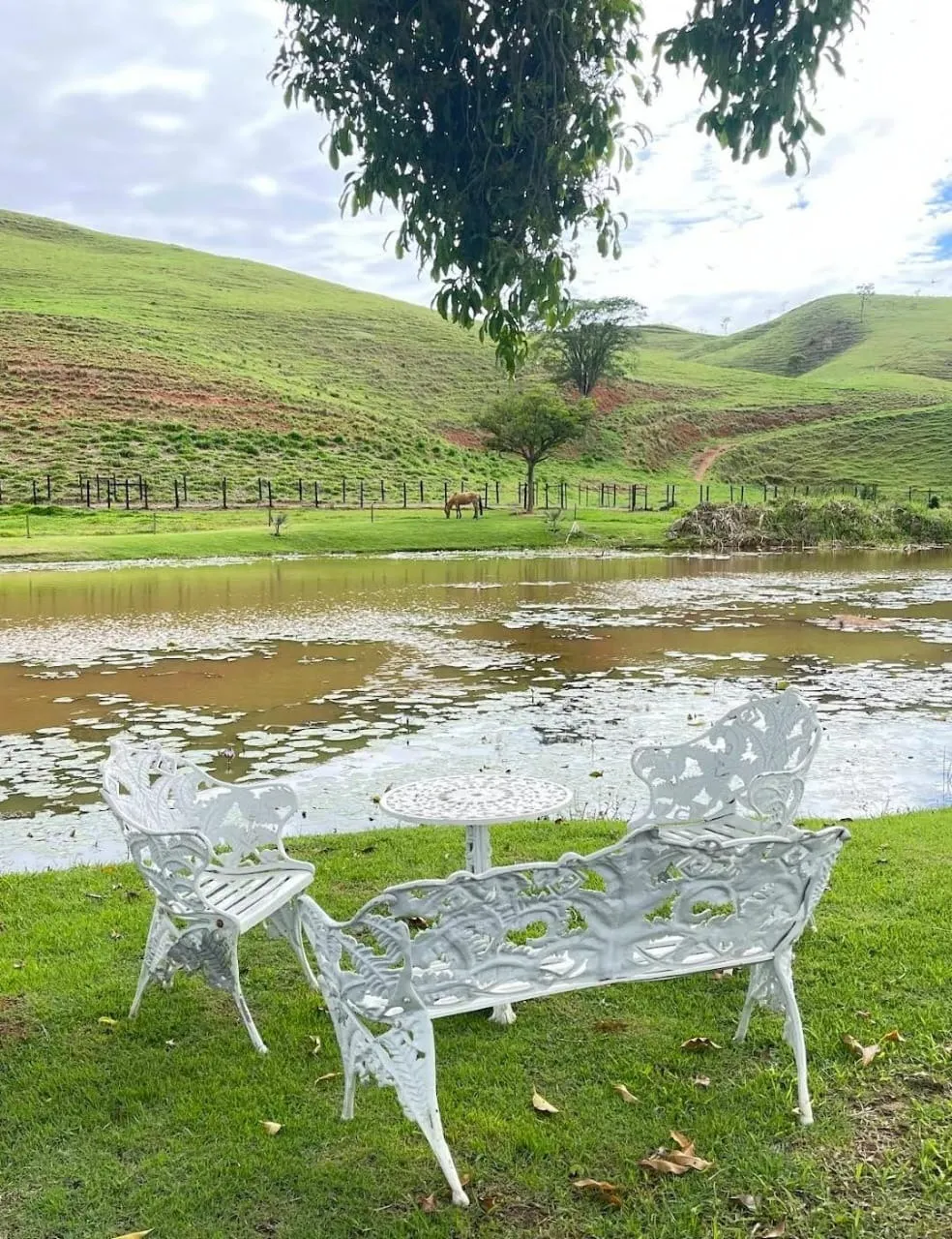Fazenda à venda de 799 ha em Cachoeira Paulista, SP, Brasil