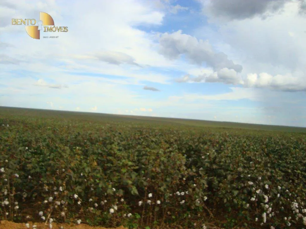 Fazenda à venda de 17.897 ha em Canarana, MT, Brasil