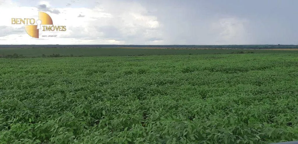 Fazenda à venda de 17.897 ha em Canarana, MT, Brasil