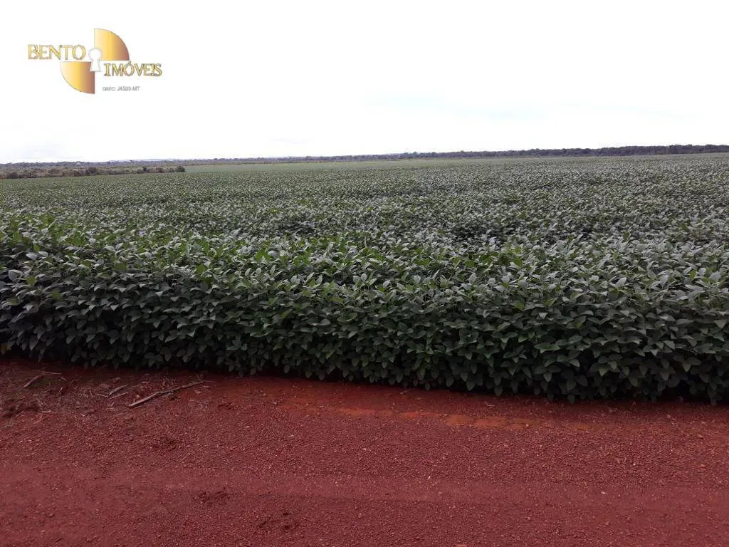 Fazenda à venda de 17.897 ha em Canarana, MT, Brasil