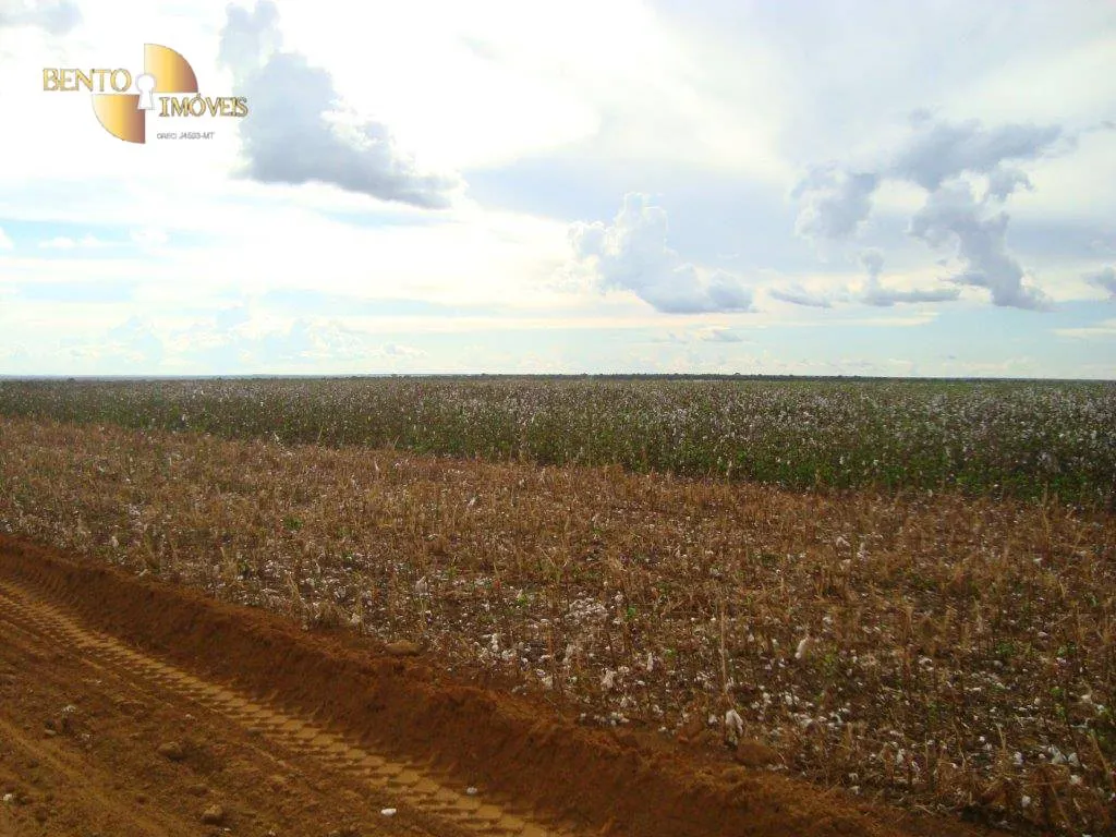 Fazenda à venda de 17.897 ha em Canarana, MT, Brasil