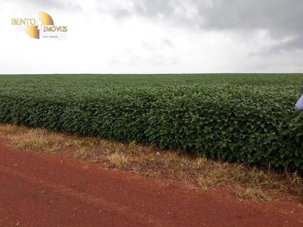 Fazenda à venda de 17.897 ha em Canarana, MT, Brasil