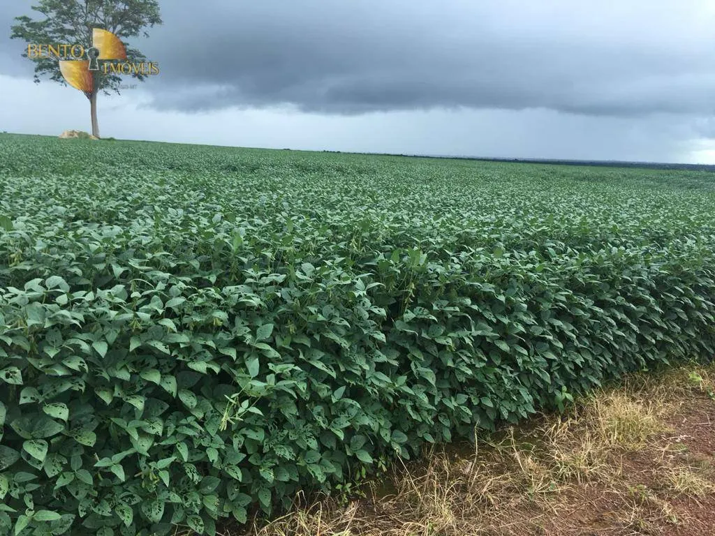 Fazenda à venda de 17.897 ha em Canarana, MT, Brasil