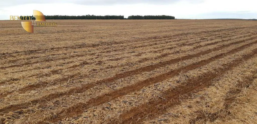 Fazenda à venda de 17.897 ha em Canarana, MT, Brasil
