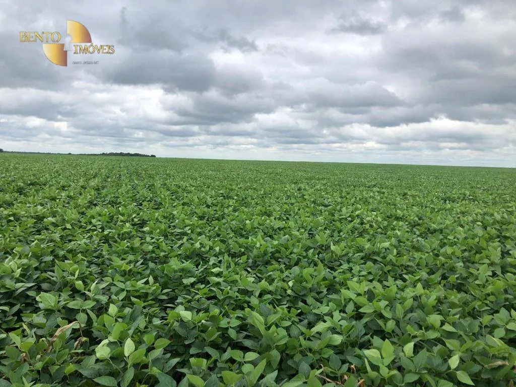 Fazenda à venda de 17.897 ha em Canarana, MT, Brasil