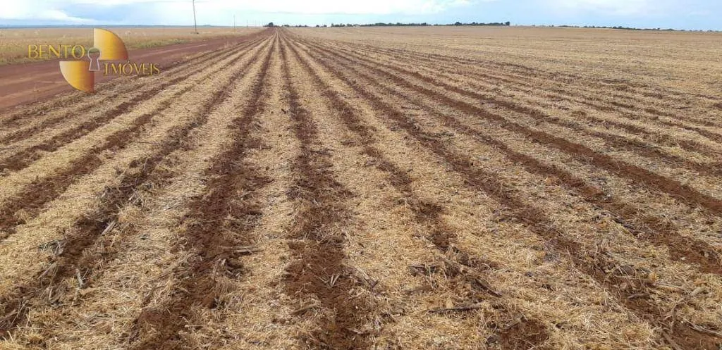 Fazenda à venda de 17.897 ha em Canarana, MT, Brasil