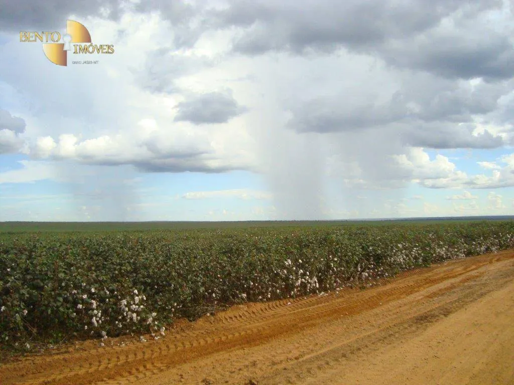 Fazenda à venda de 17.897 ha em Canarana, MT, Brasil