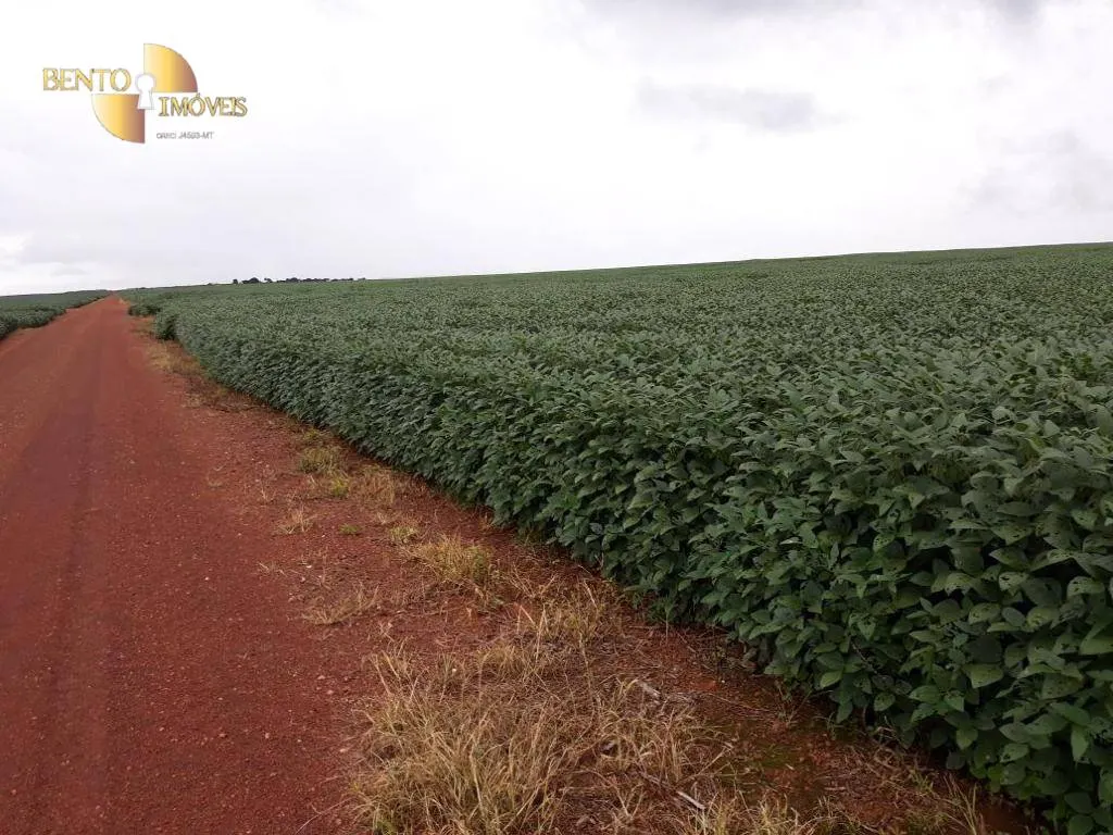 Fazenda à venda de 17.897 ha em Canarana, MT, Brasil