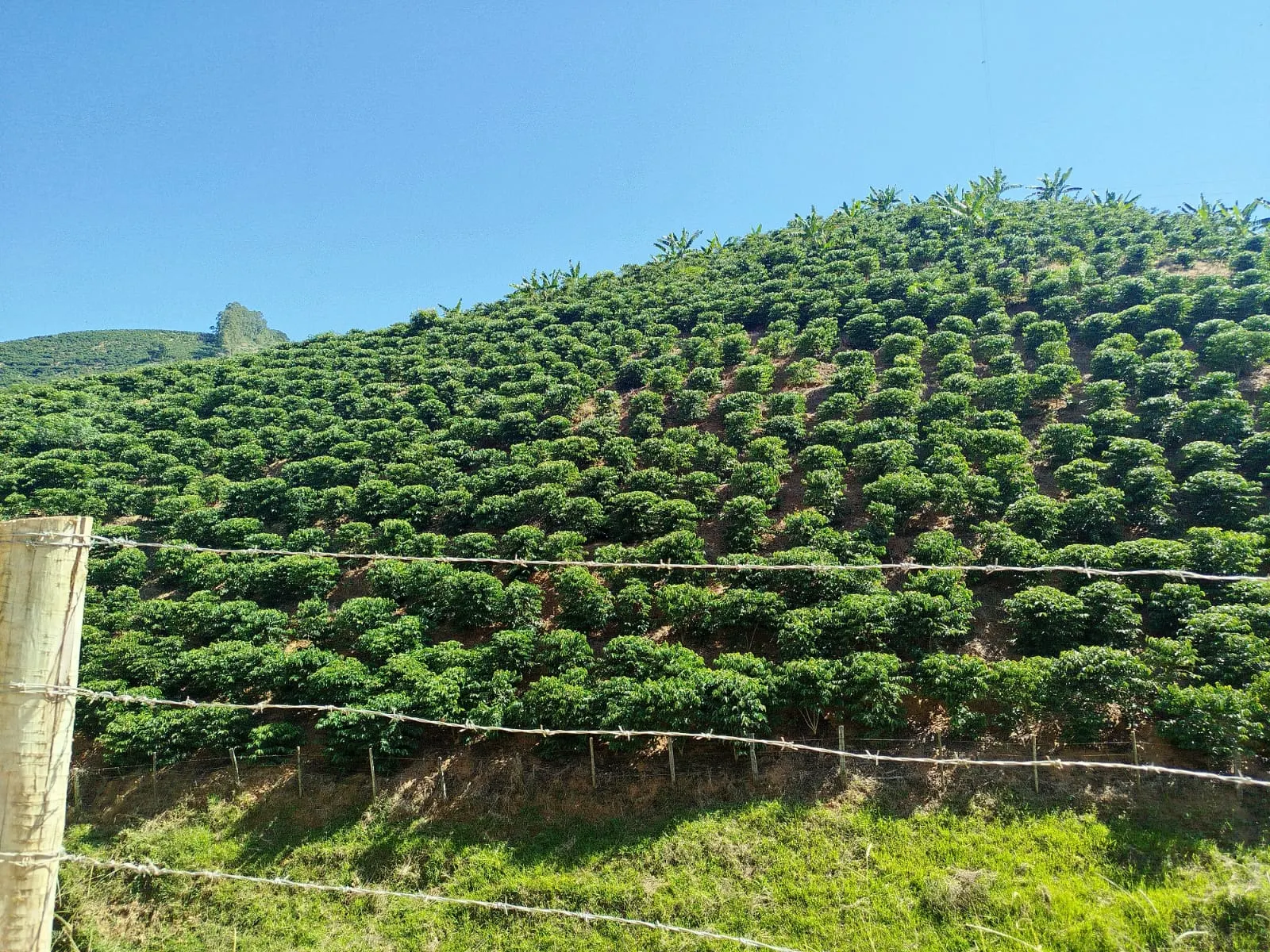 Fazenda à venda de 126 ha em Muqui, ES, Brasil