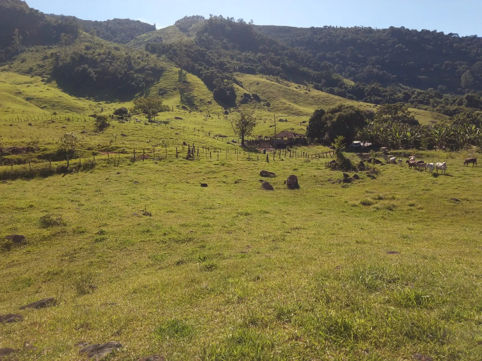 Fazenda à venda de 126 ha em Muqui, ES, Brasil