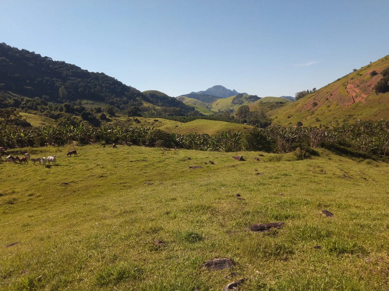 Fazenda à venda de 126 ha em Muqui, ES, Brasil