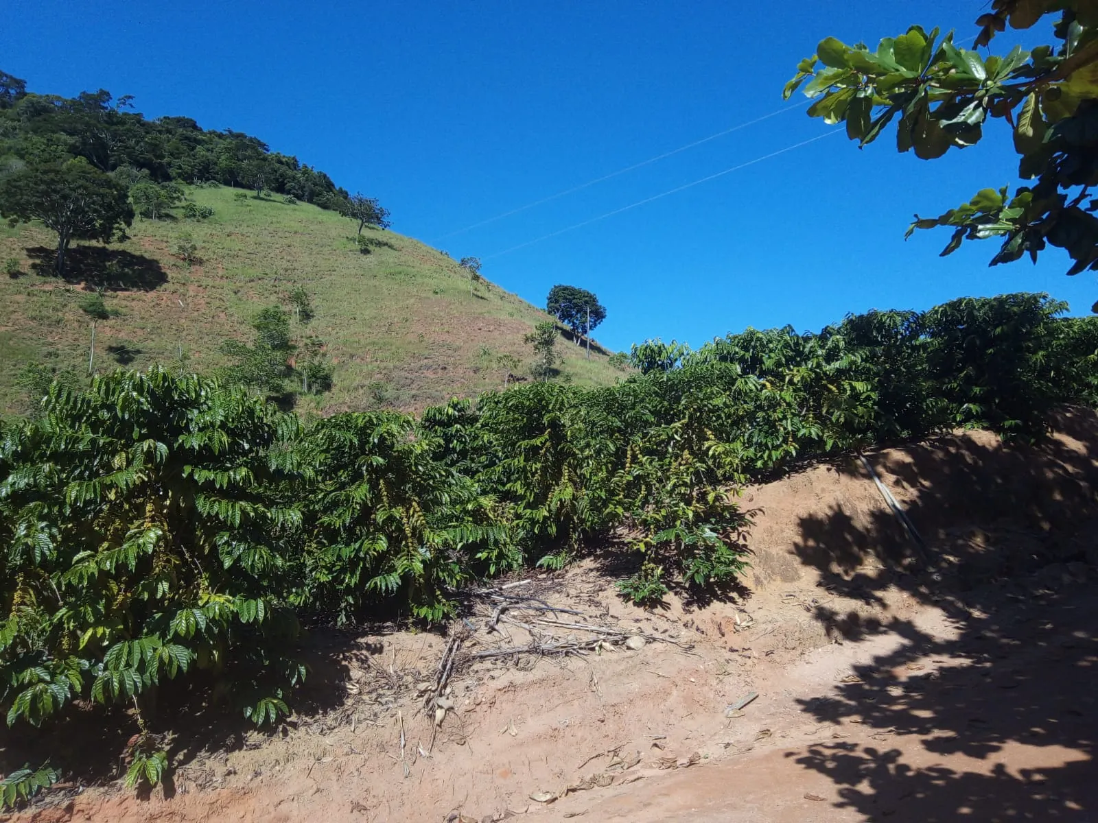 Fazenda à venda de 126 ha em Muqui, ES, Brasil