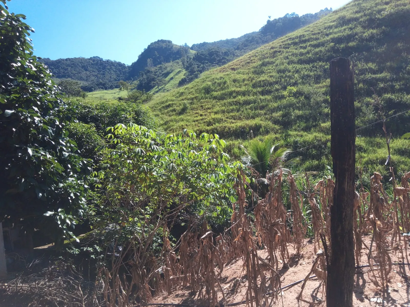 Fazenda à venda de 126 ha em Muqui, ES, Brasil
