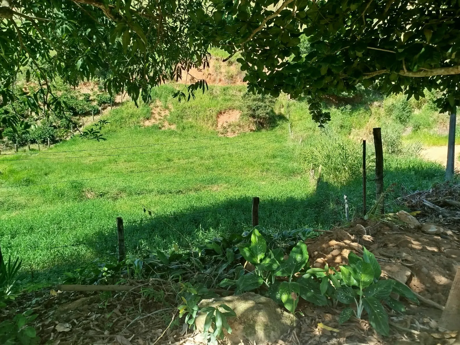 Fazenda à venda de 126 ha em Muqui, ES, Brasil