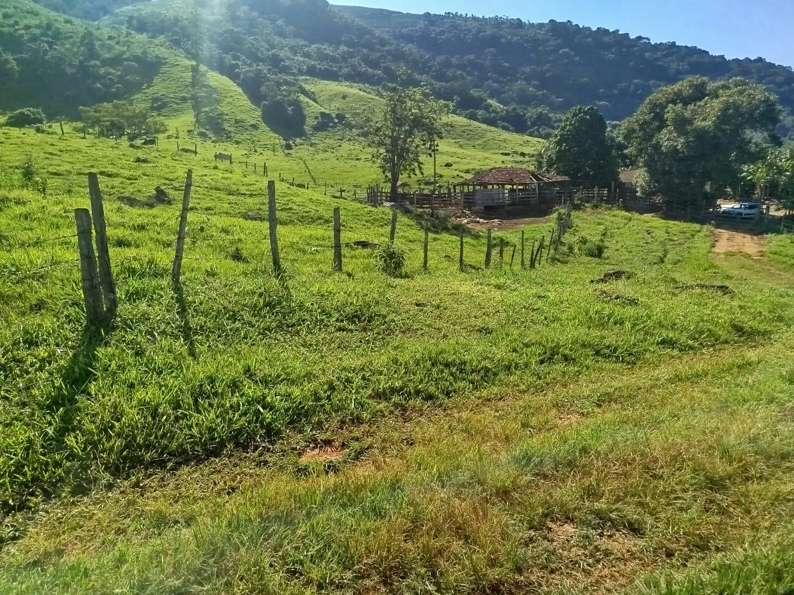 Fazenda à venda de 126 ha em Muqui, ES, Brasil