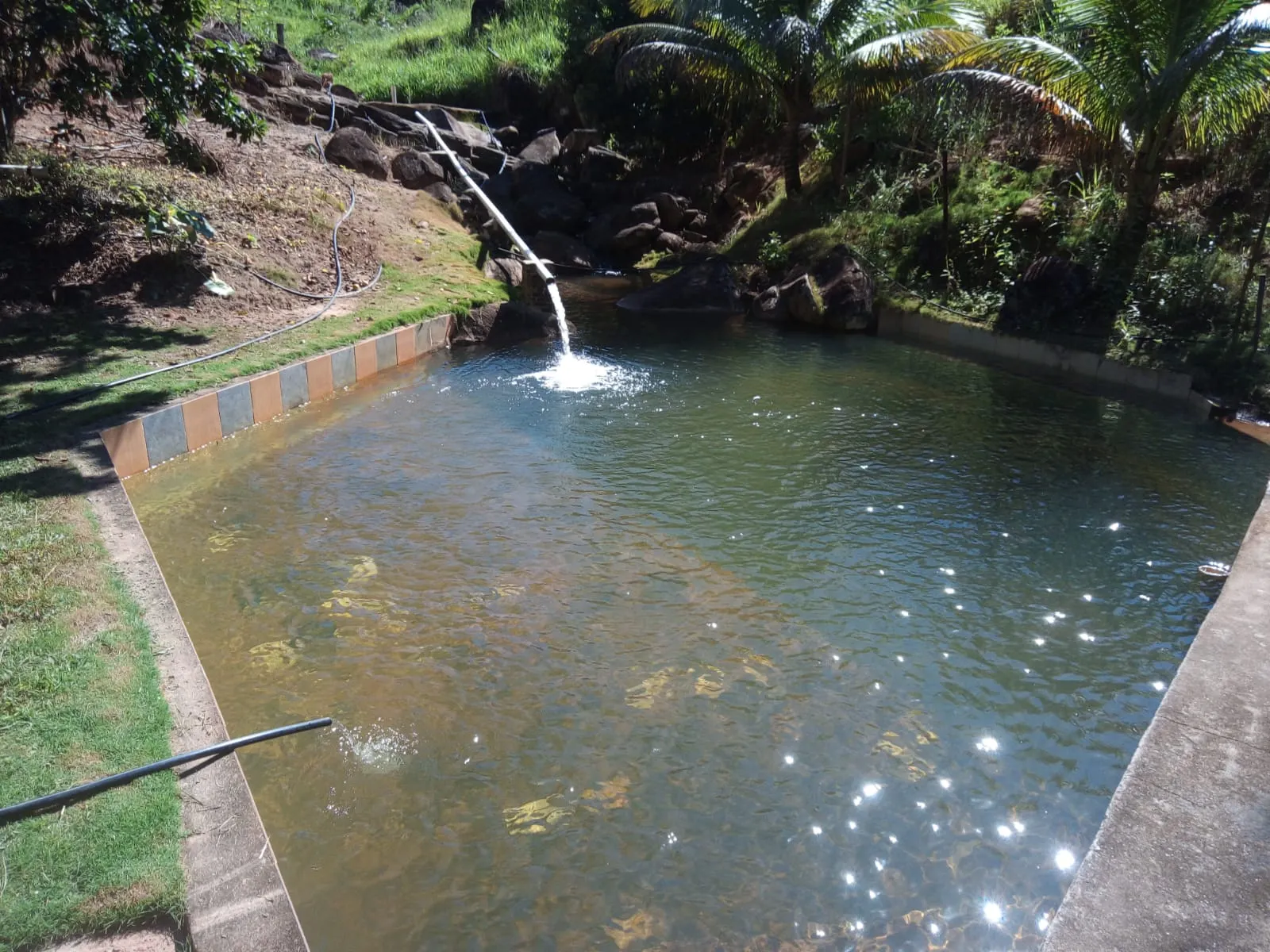 Fazenda à venda de 126 ha em Muqui, ES, Brasil