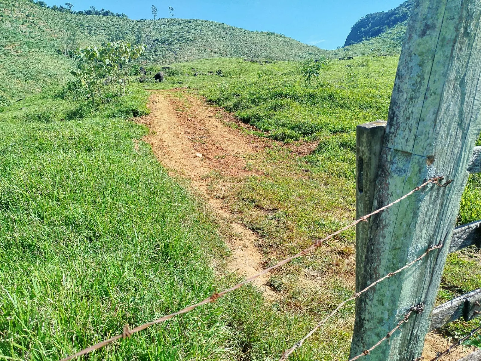Fazenda à venda de 126 ha em Muqui, ES, Brasil