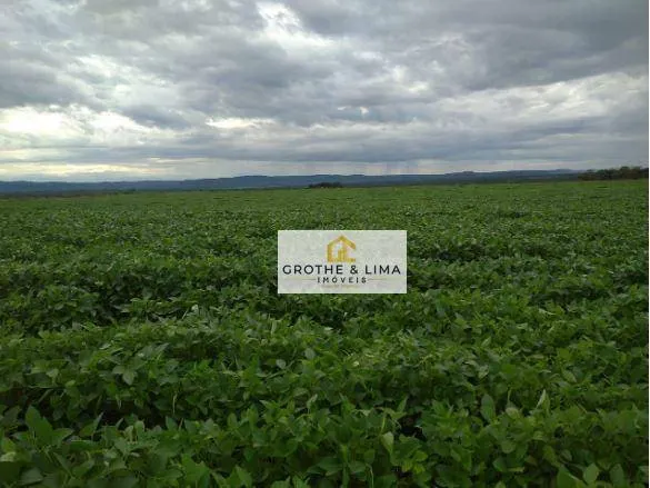 Farm for sale of 3,947 acres in Silvanópolis, TO, Brazil