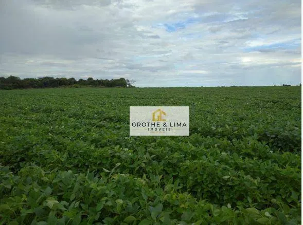 Fazenda à venda de 1.597 ha em Silvanópolis, TO, Brasil