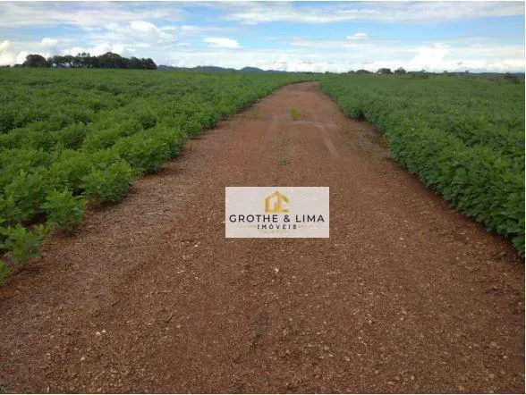 Farm for sale of 3,947 acres in Silvanópolis, TO, Brazil