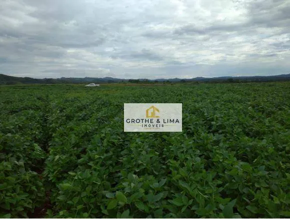 Farm for sale of 3,947 acres in Silvanópolis, TO, Brazil
