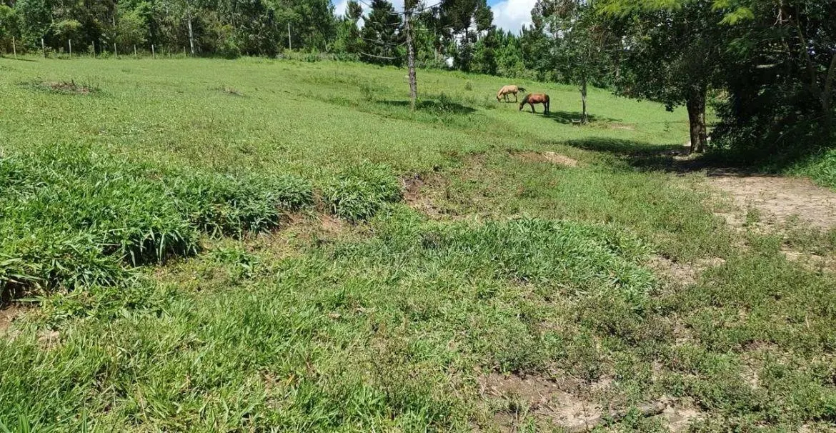 Country home for sale of 3,600 m² in Itapeva, SP, Brazil