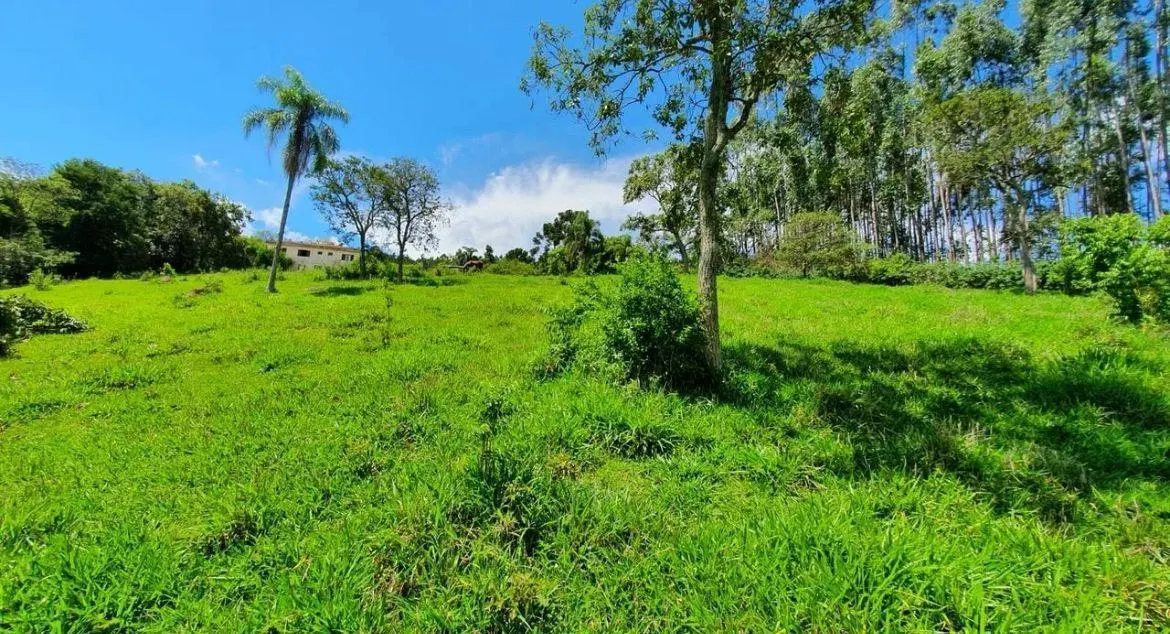 Chácara à venda de 3.600 m² em Itapeva, SP, Brasil