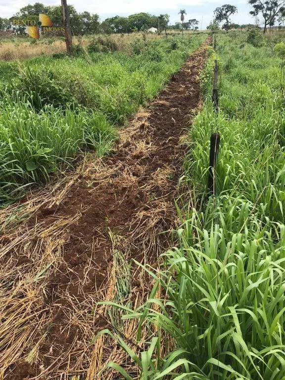 Fazenda à venda de 811 ha em Rosário Oeste, MT, Brasil