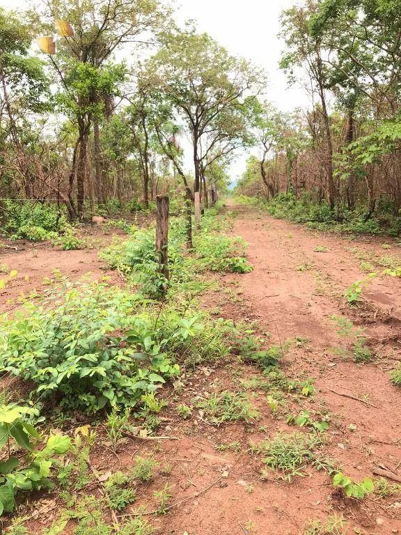 Fazenda à venda de 811 ha em Rosário Oeste, MT, Brasil