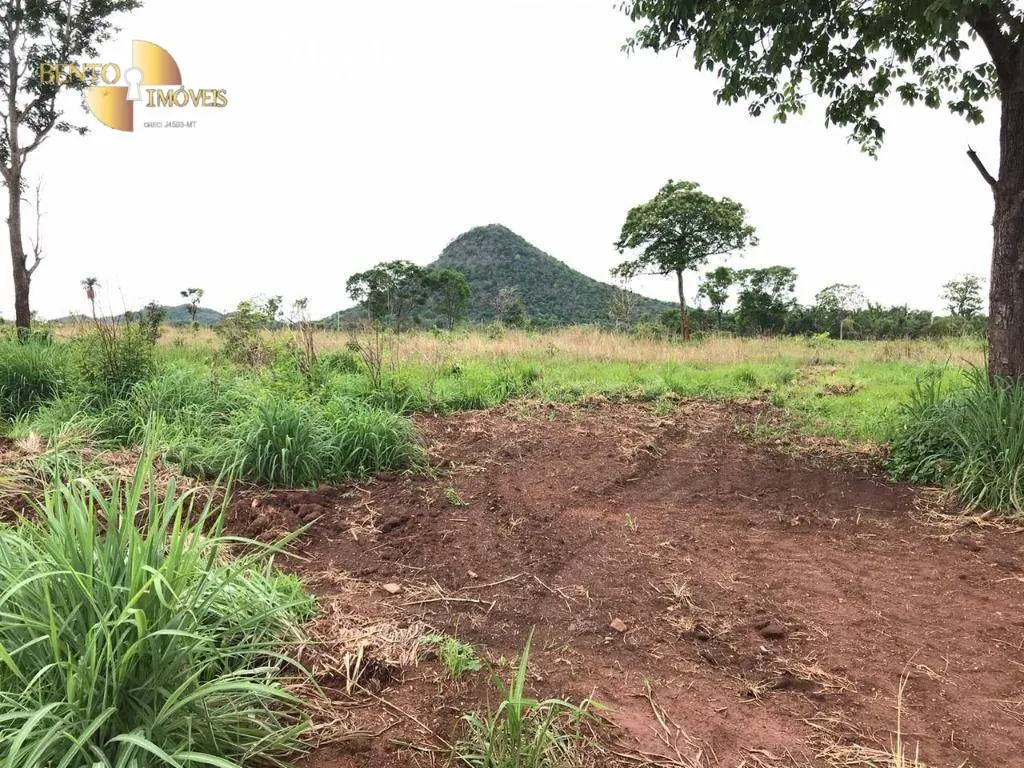 Fazenda à venda de 811 ha em Rosário Oeste, MT, Brasil