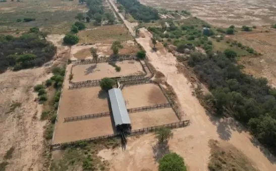 Fazenda à venda de 13.500 ha em Colonia Neuland, Paraguai