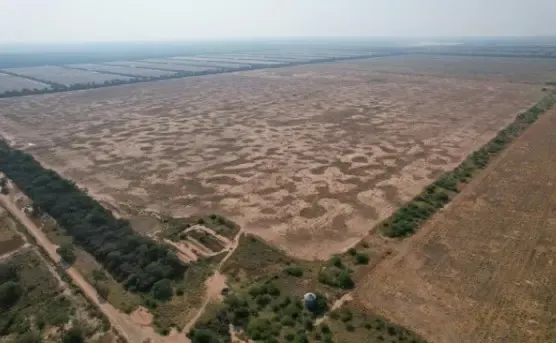 Fazenda à venda de 13.500 ha em Colonia Neuland, Paraguai