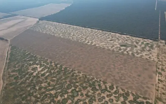 Fazenda à venda de 13.500 ha em Colonia Neuland, Paraguai