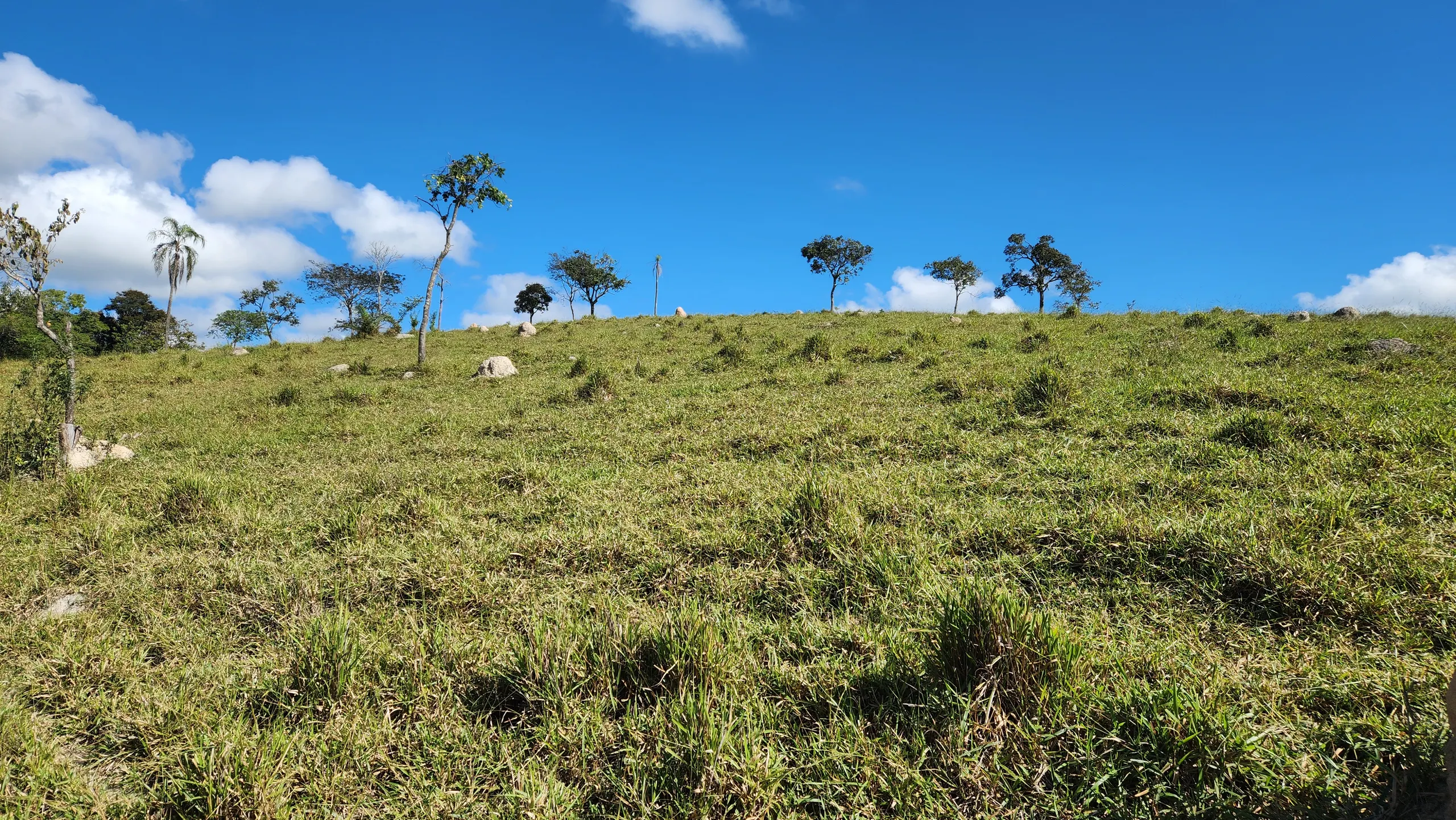 Terreno à venda de 23 ha em Bonfim, MG, Brasil
