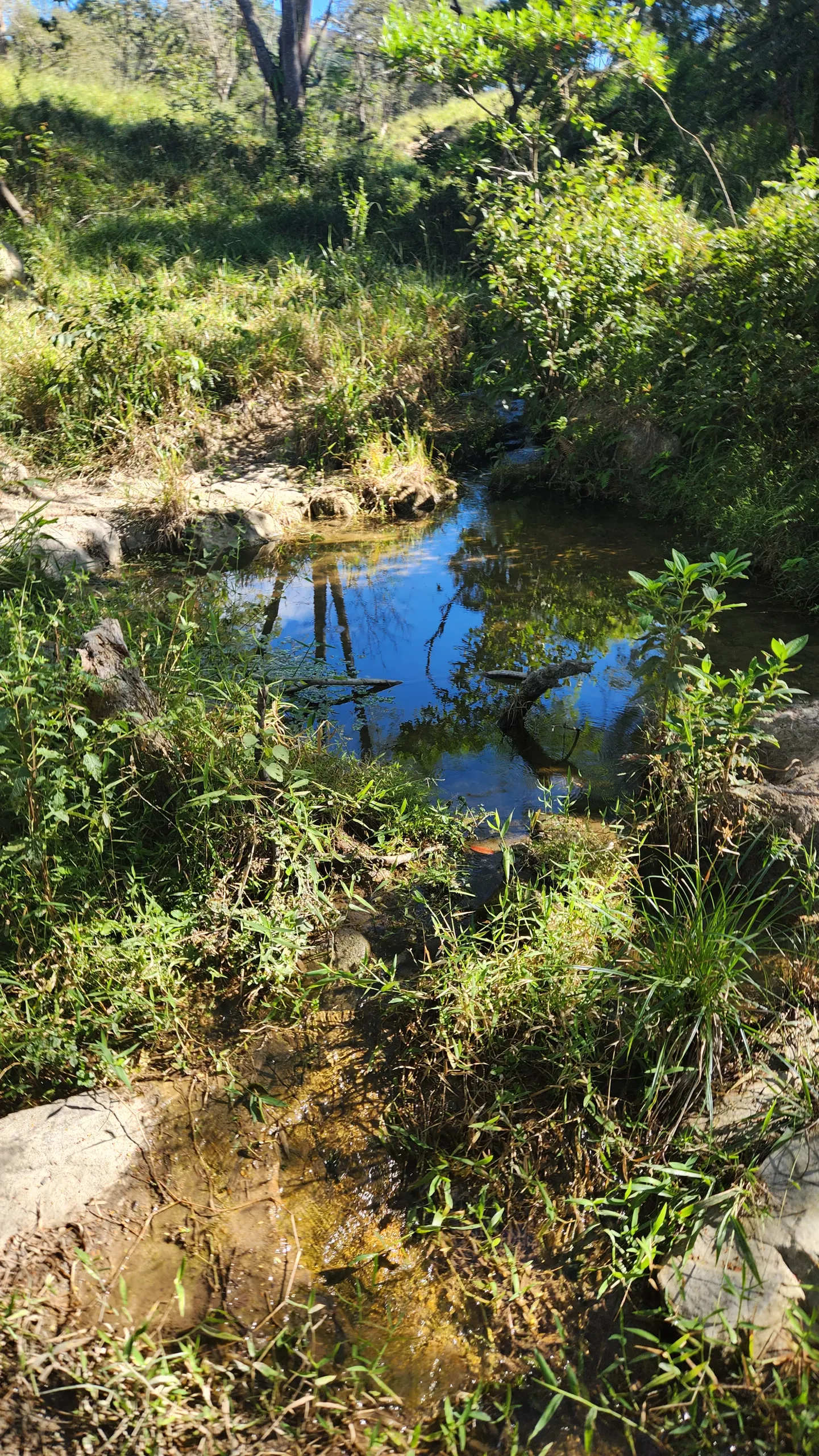 Terreno à venda de 23 ha em Bonfim, MG, Brasil