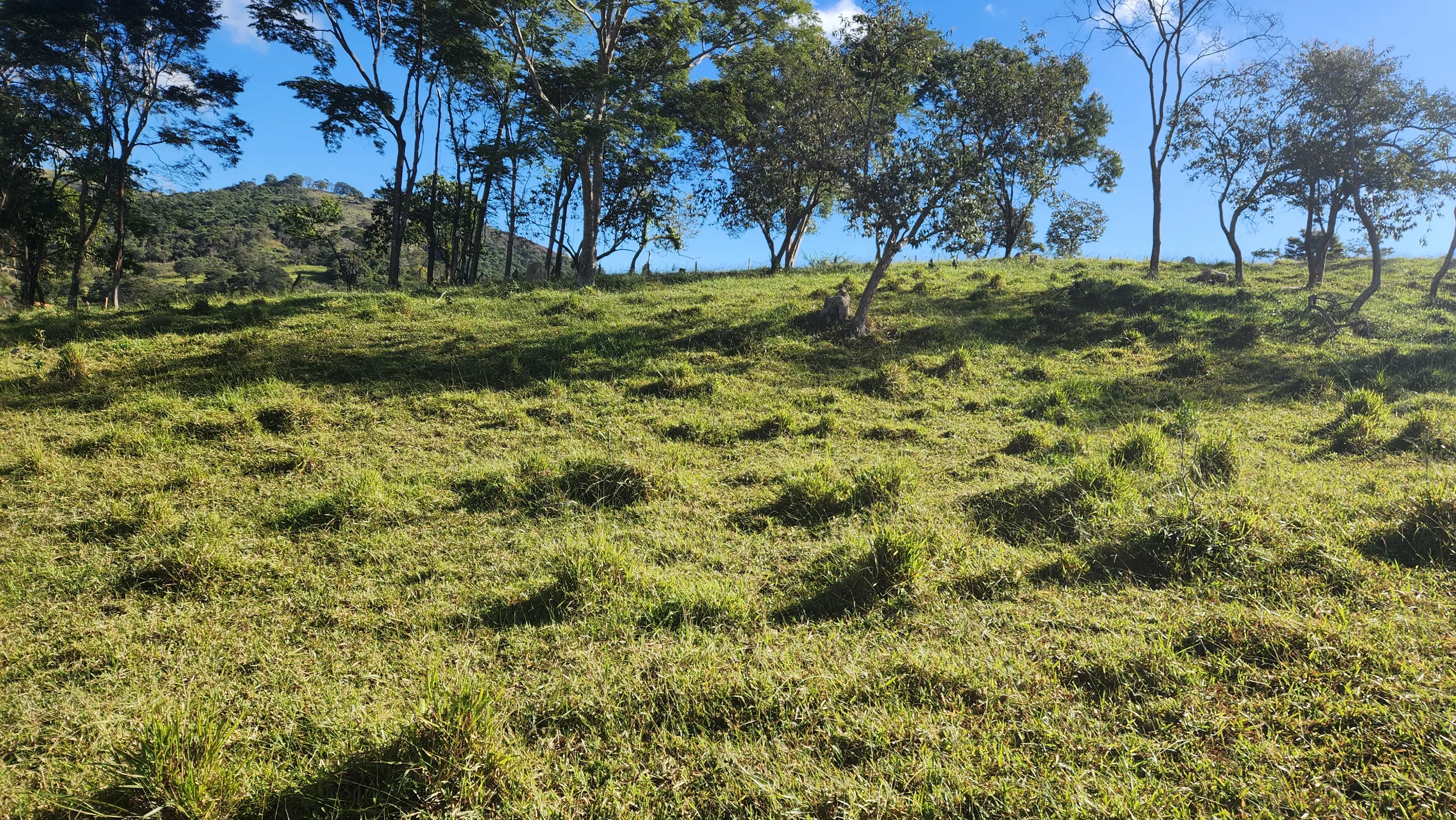 Terreno à venda de 23 ha em Bonfim, MG, Brasil