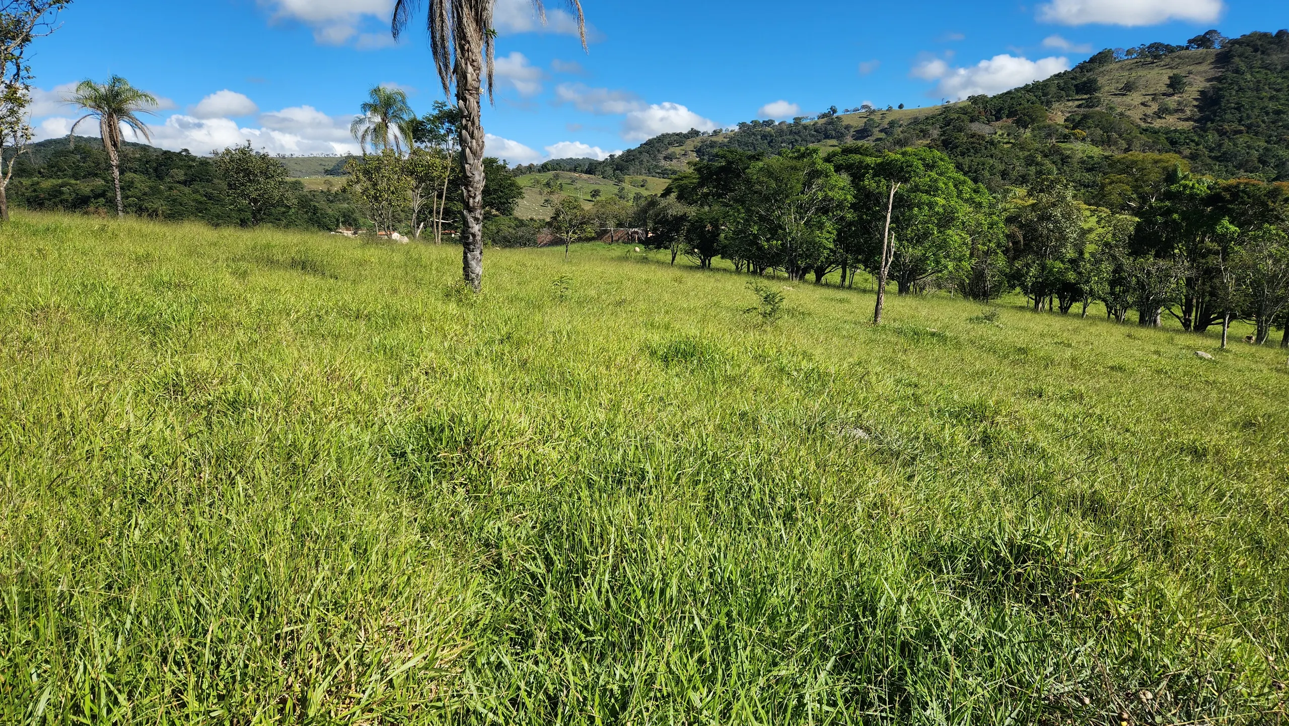 Terreno à venda de 23 ha em Bonfim, MG, Brasil