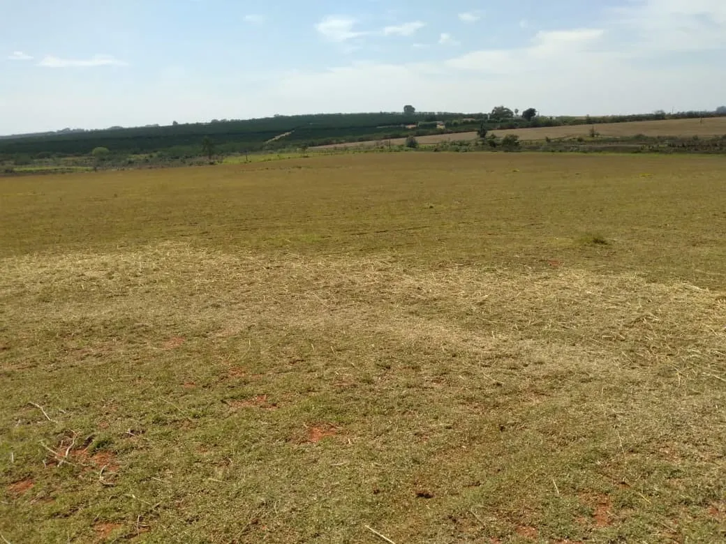 Fazenda à venda de 198 ha em Tatuí, SP, Brasil