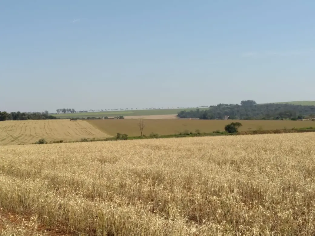 Fazenda à venda de 198 ha em Tatuí, SP, Brasil