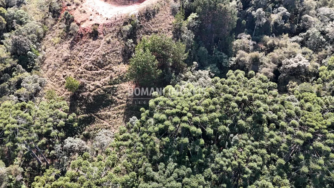 Terreno à venda e para Arrendar de 6.530 m² em Campos do Jordão, SP, Brasil