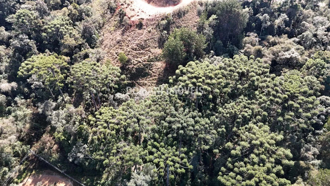 Terreno à venda e para Arrendar de 6.530 m² em Campos do Jordão, SP, Brasil