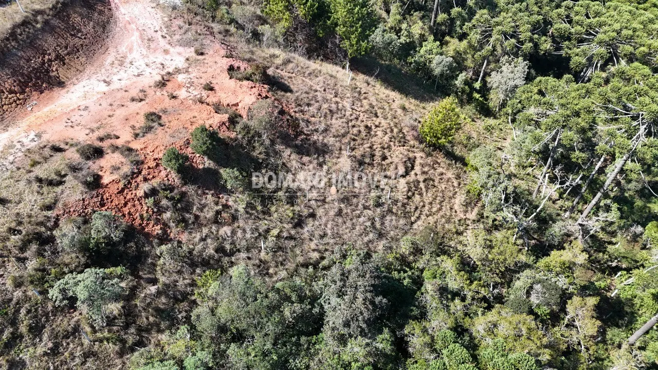 Terreno à venda e para Arrendar de 6.530 m² em Campos do Jordão, SP, Brasil