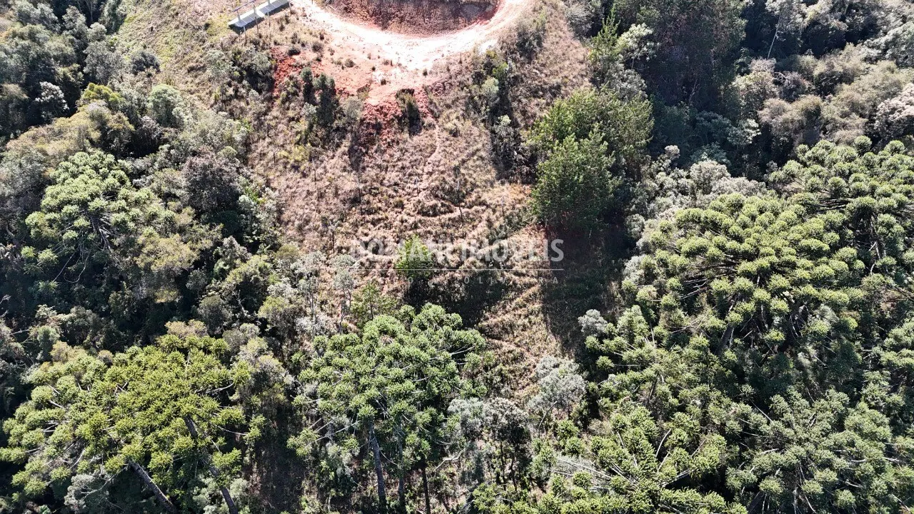 Terreno à venda e para Arrendar de 6.530 m² em Campos do Jordão, SP, Brasil