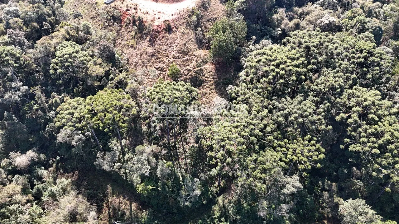 Terreno à venda e para Arrendar de 6.530 m² em Campos do Jordão, SP, Brasil