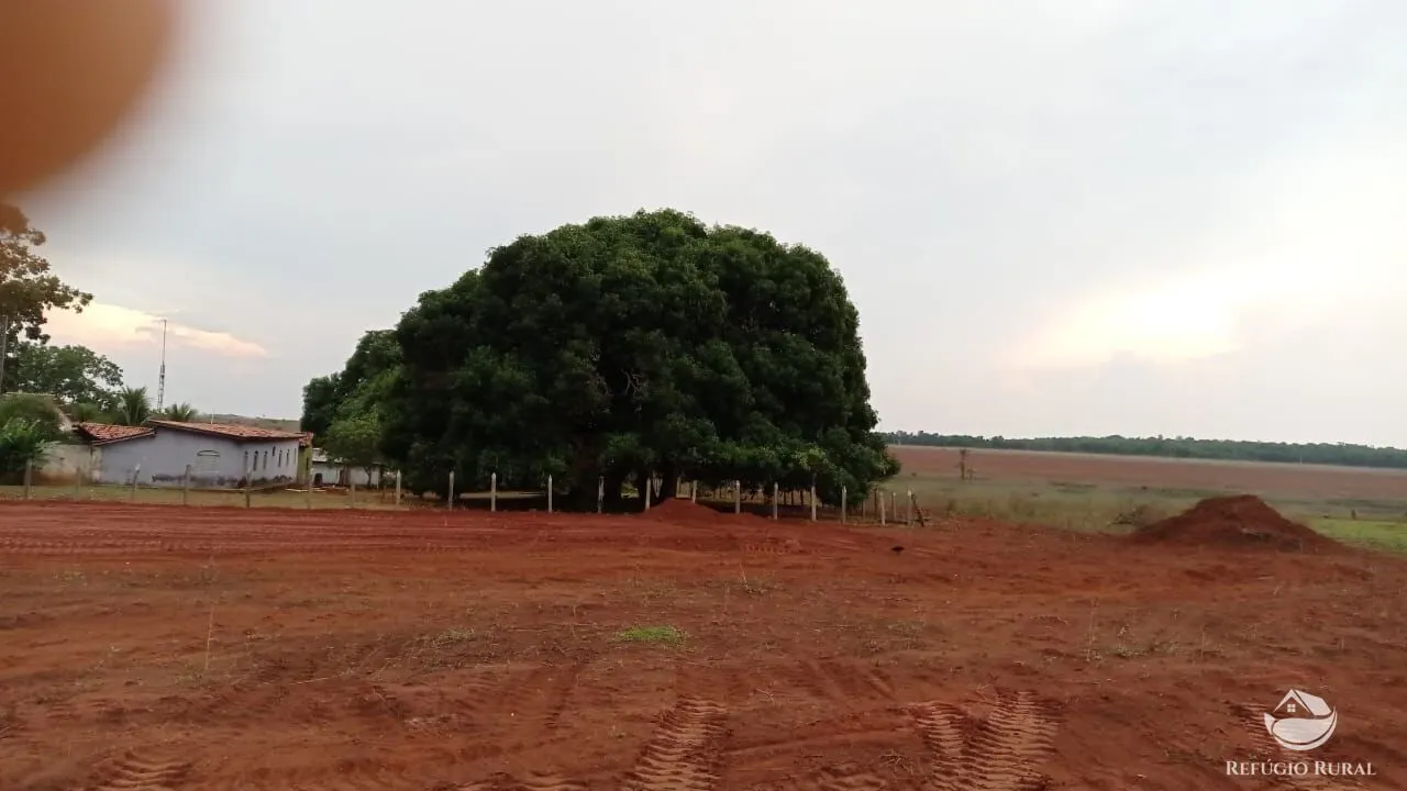 Fazenda à venda de 9.300 ha em São José do Xingu, MT, Brasil