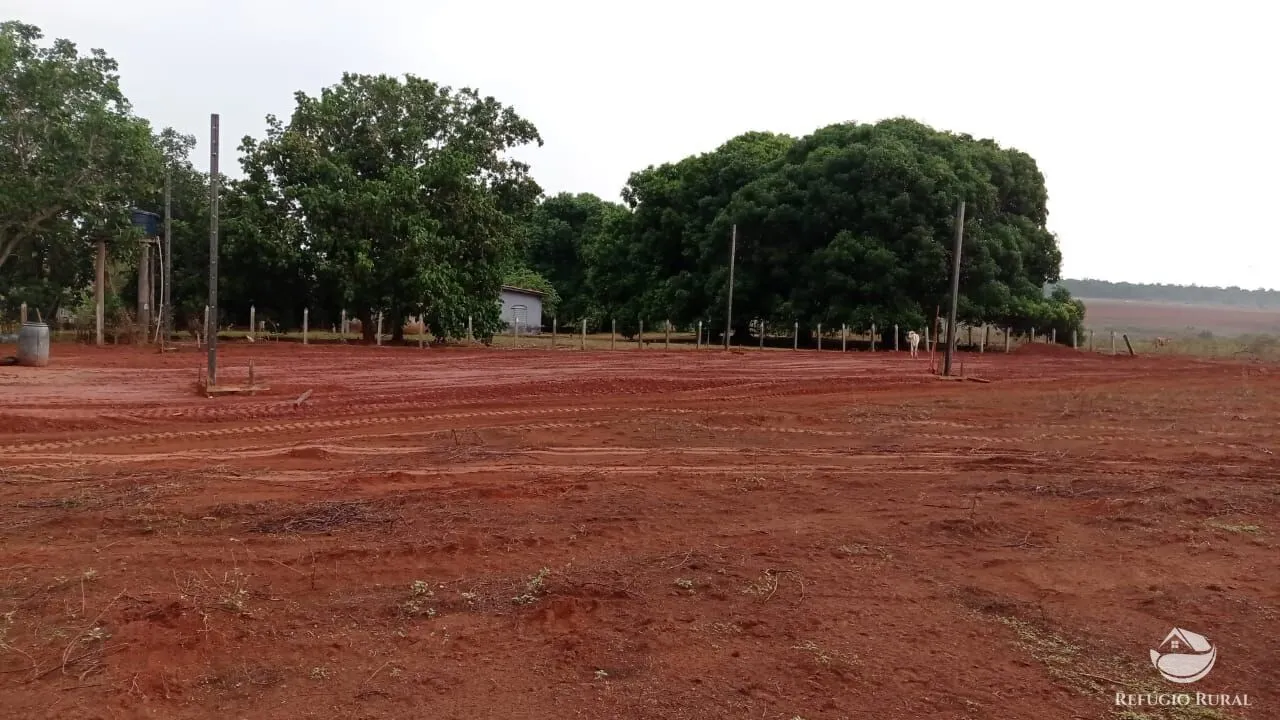 Fazenda à venda de 9.300 ha em São José do Xingu, MT, Brasil
