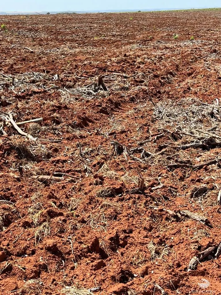 Fazenda à venda de 9.300 ha em São José do Xingu, MT, Brasil