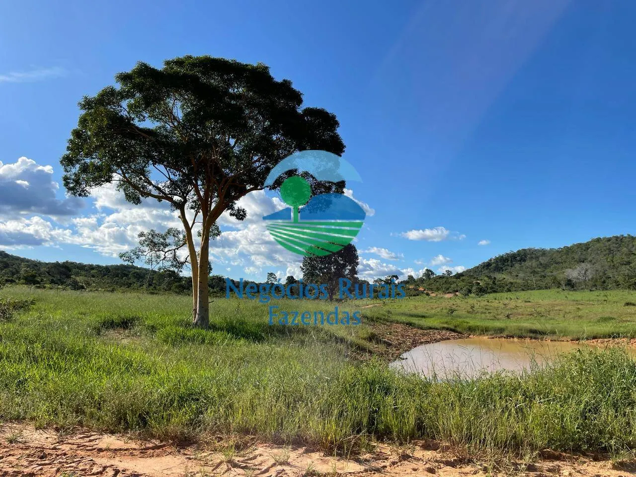 Fazenda à venda de 121 ha em Campinaçu, GO, Brasil